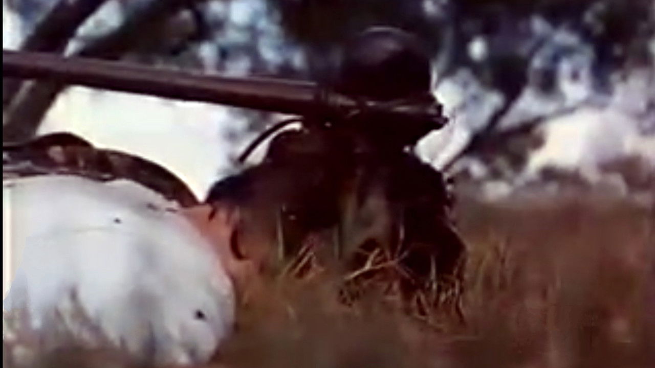 Backdrop image for movie Demon Warrior