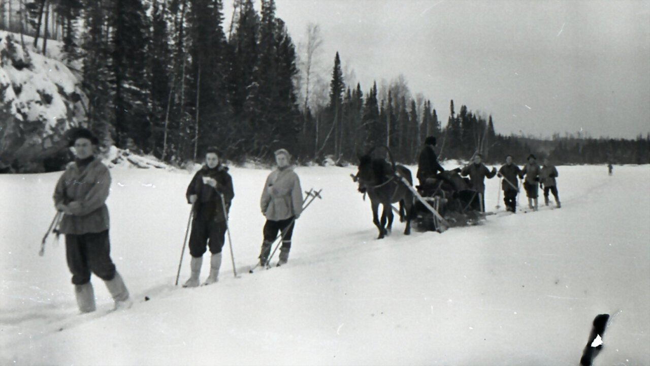 Backdrop image for movie Russian Yeti: The Killer Lives