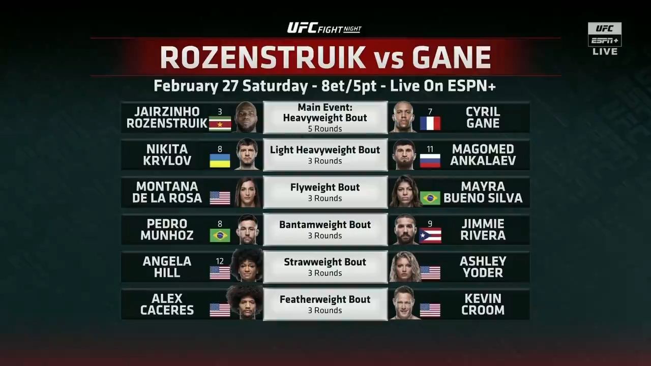 Backdrop image for movie UFC Fight Night 186: Rozenstruik vs. Gane