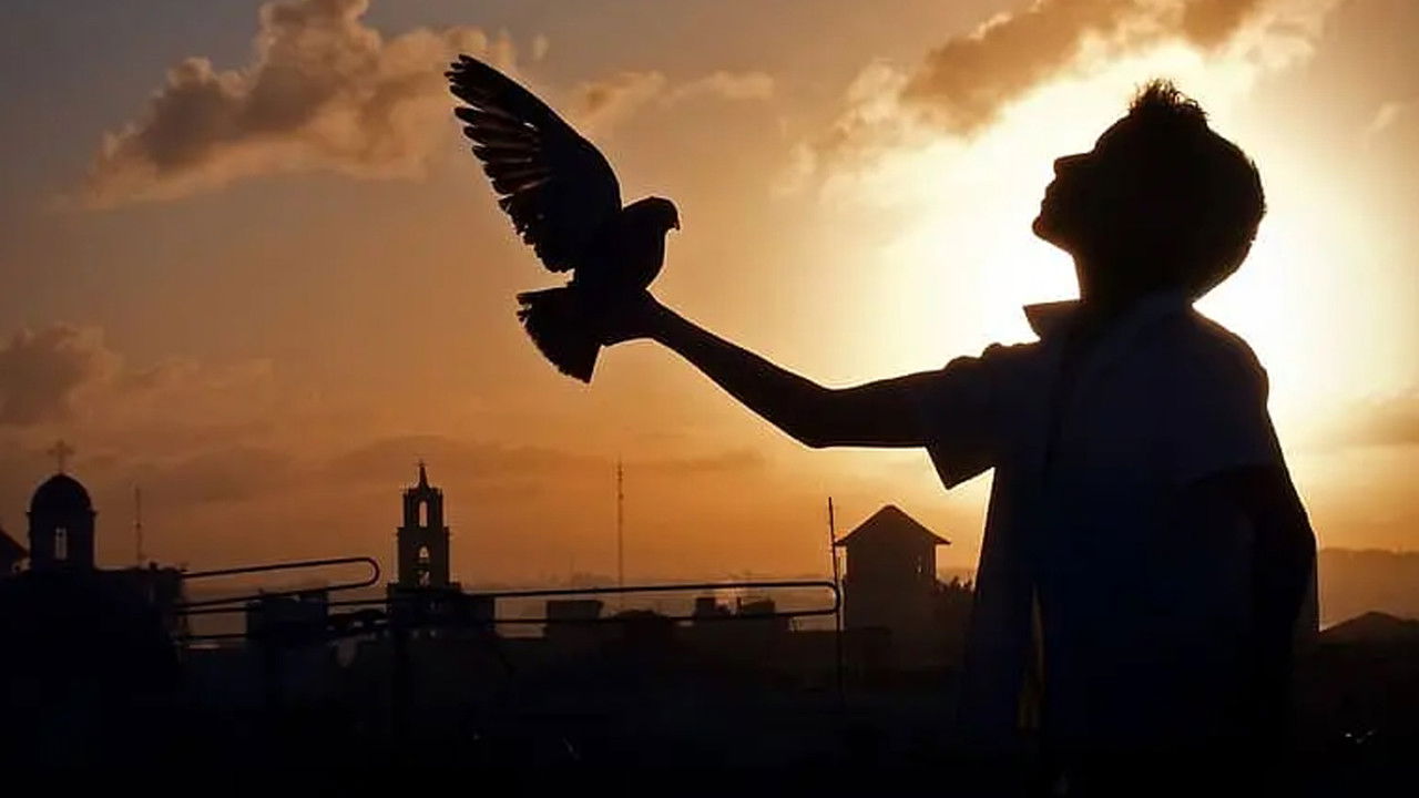 Backdrop image for movie Behavior