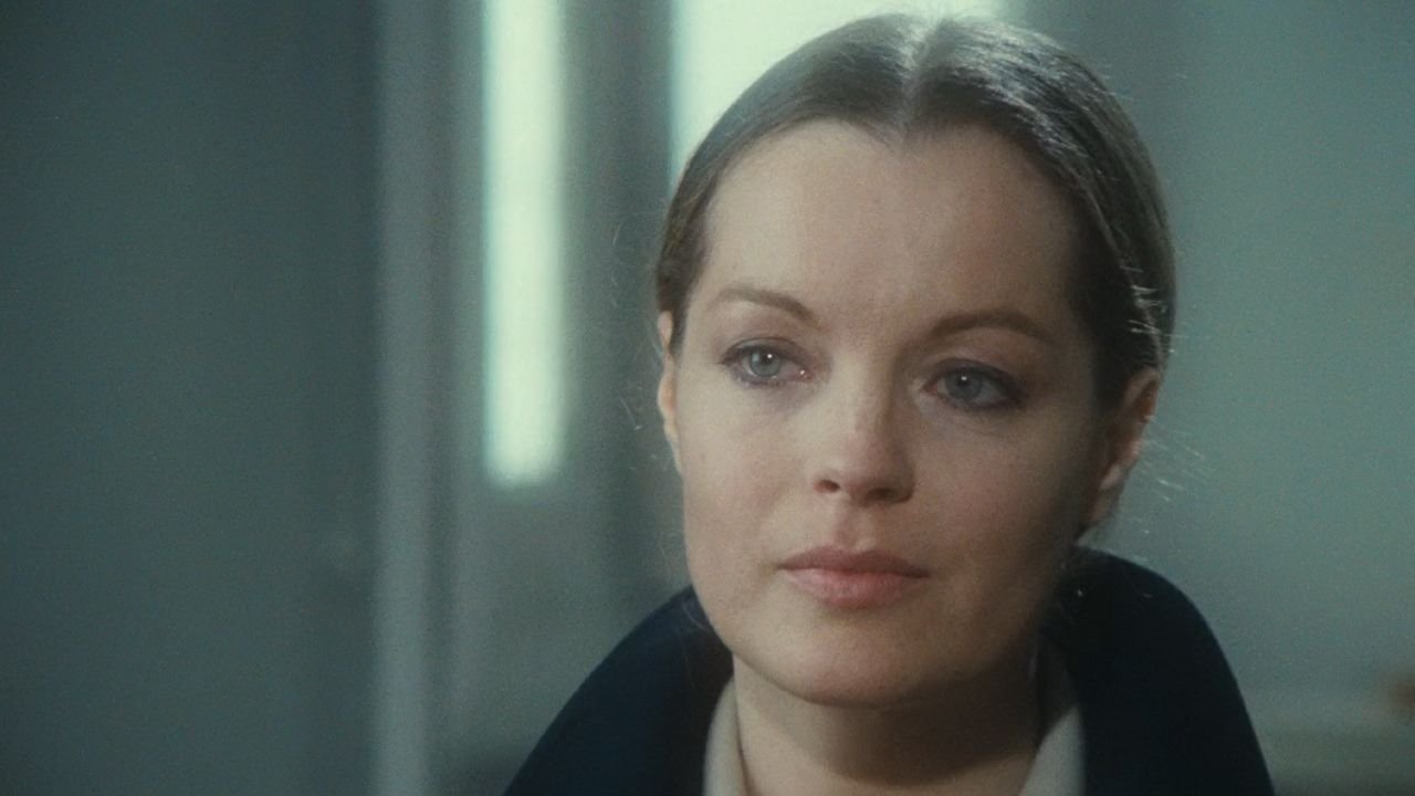 Backdrop image for movie A Simple Story