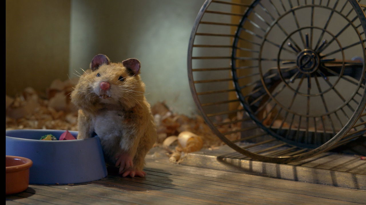 Backdrop image for movie Fat Hamster