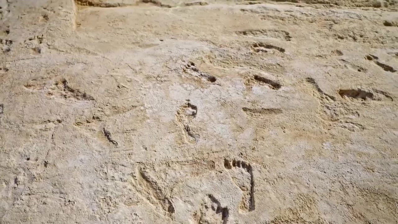 Backdrop image for movie Amérique, la nouvelle histoire des premiers hommes