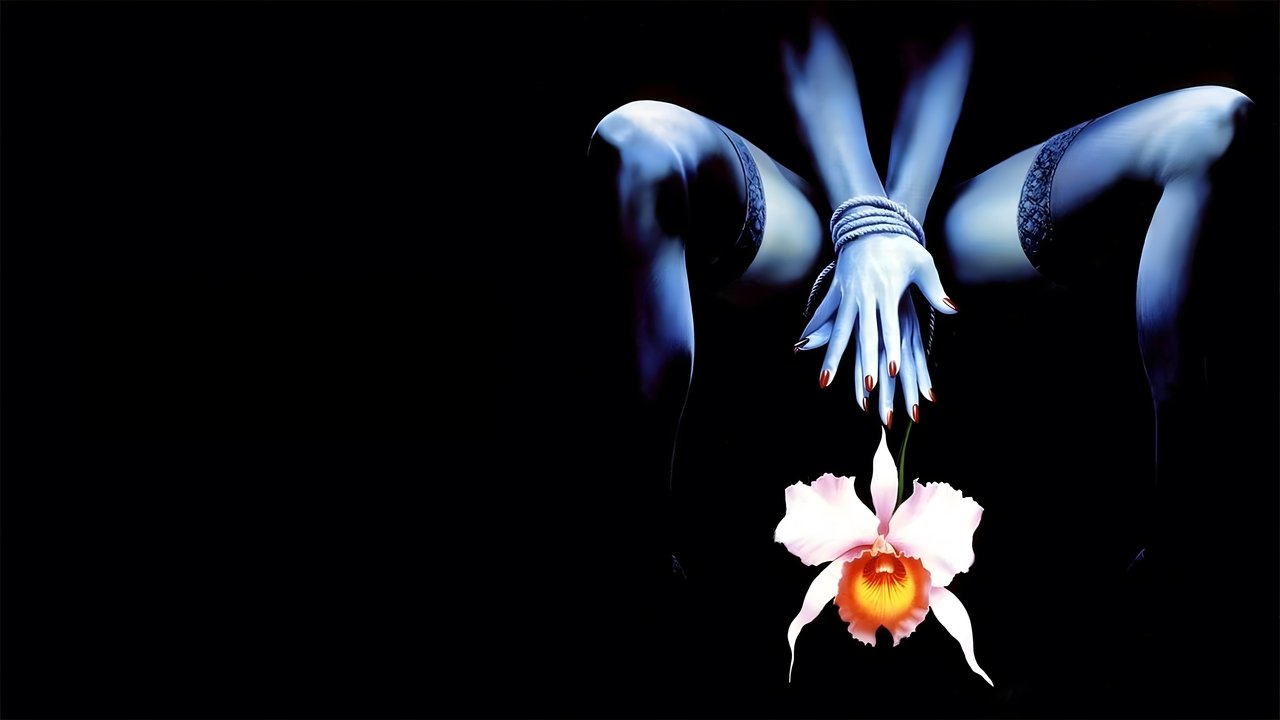 Backdrop image for movie Wild Orchid II: Two Shades of Blue