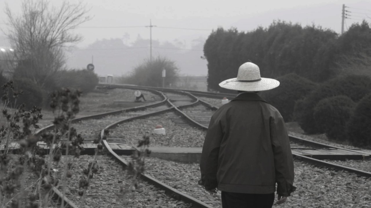 Backdrop image for movie My Father's Emails