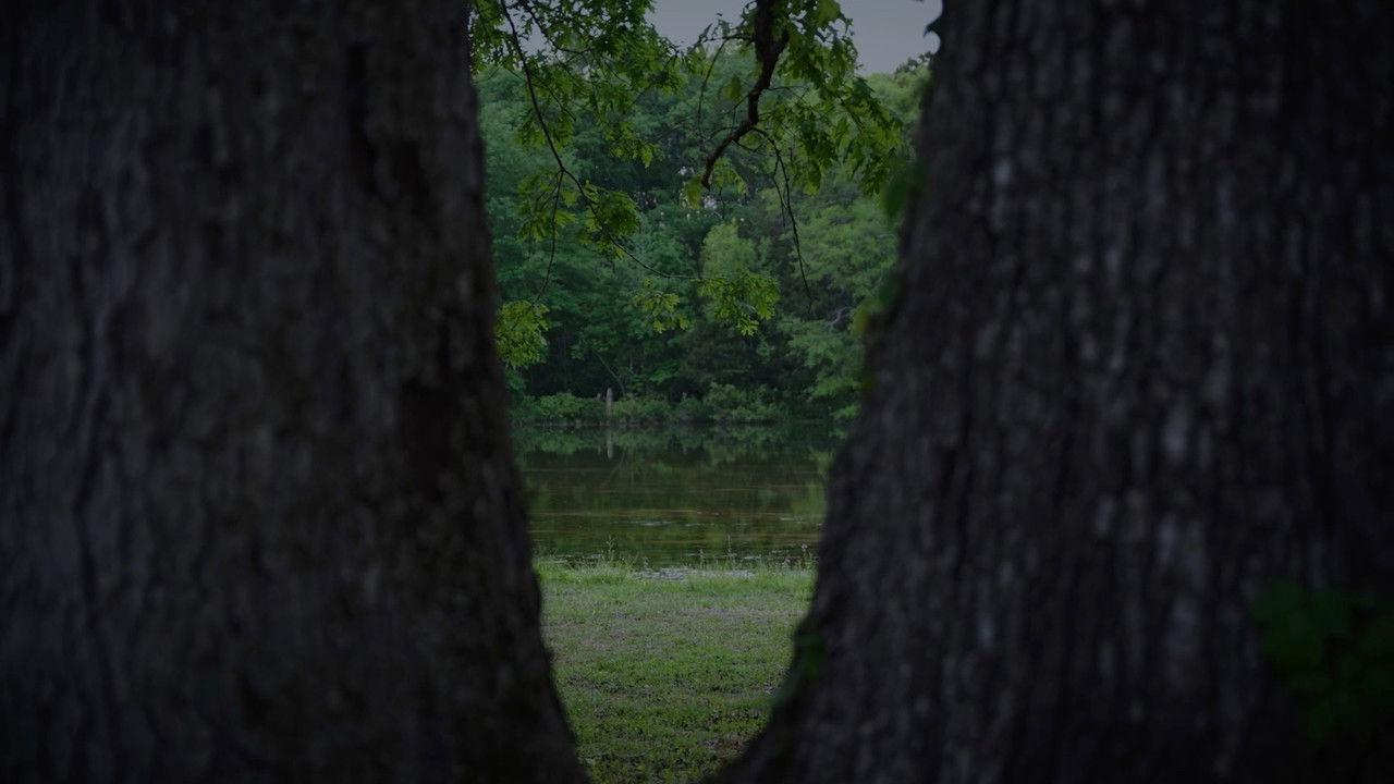 Backdrop image for movie Woodwards