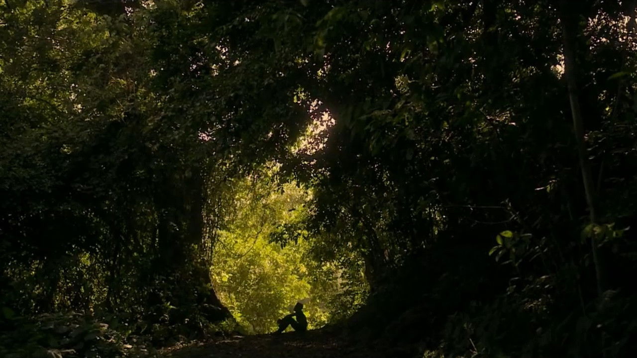 Backdrop image for movie The Gift