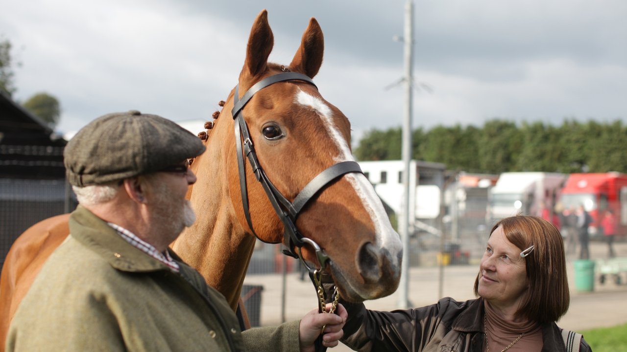 Backdrop image for movie Dark Horse