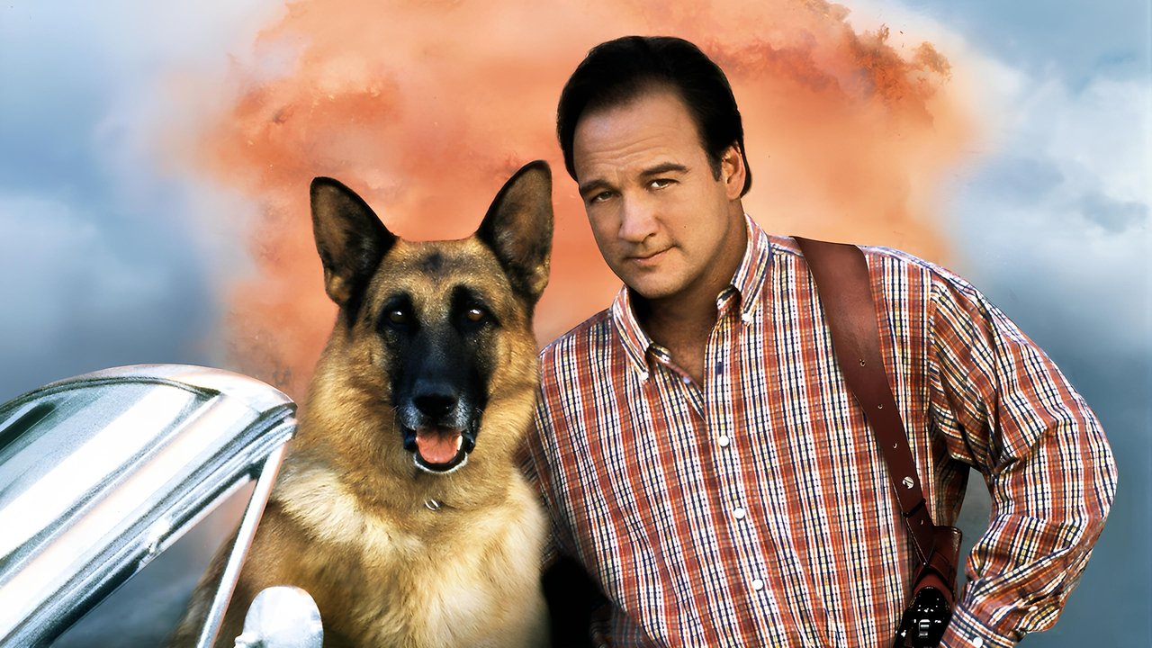 Backdrop image for movie K-911