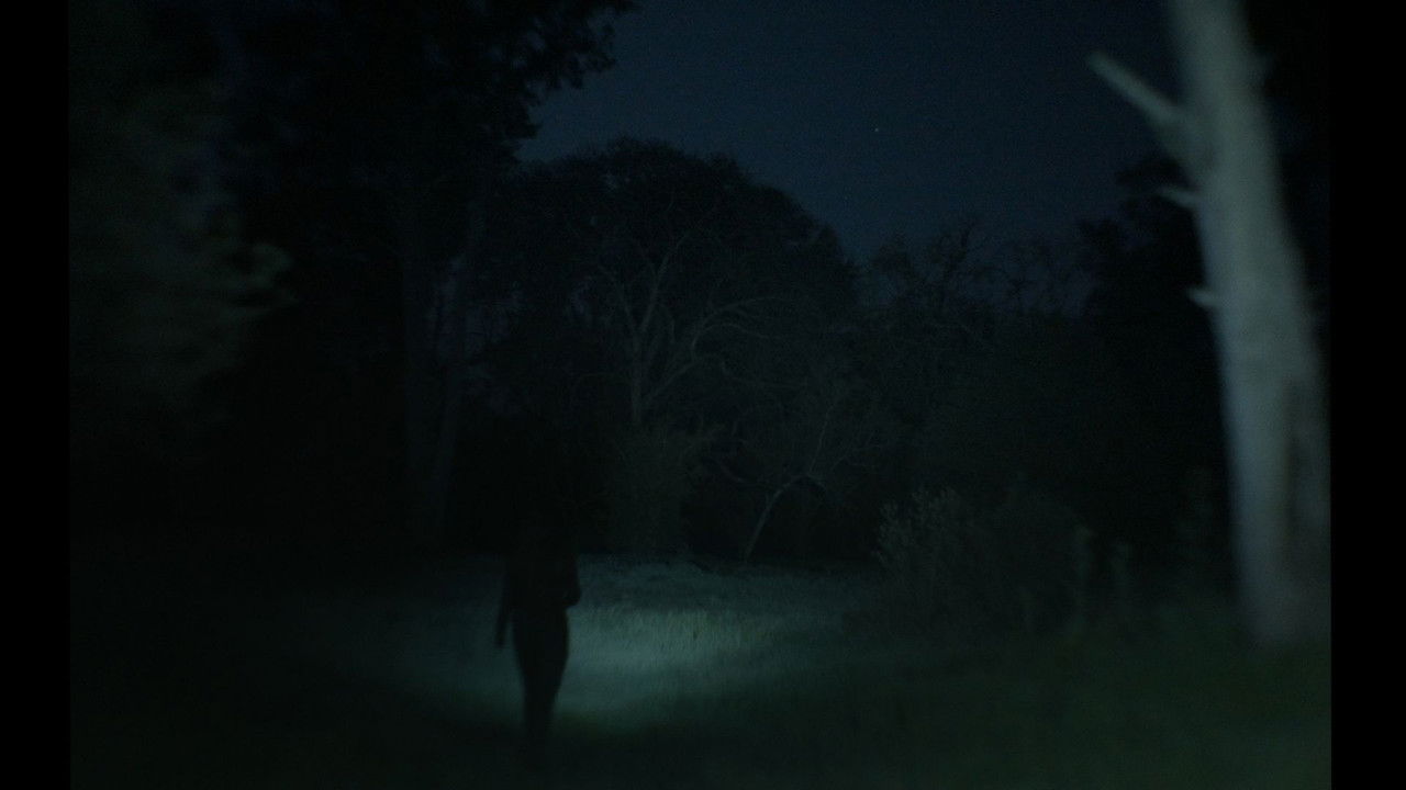 Backdrop image for movie A veces pienso en volver