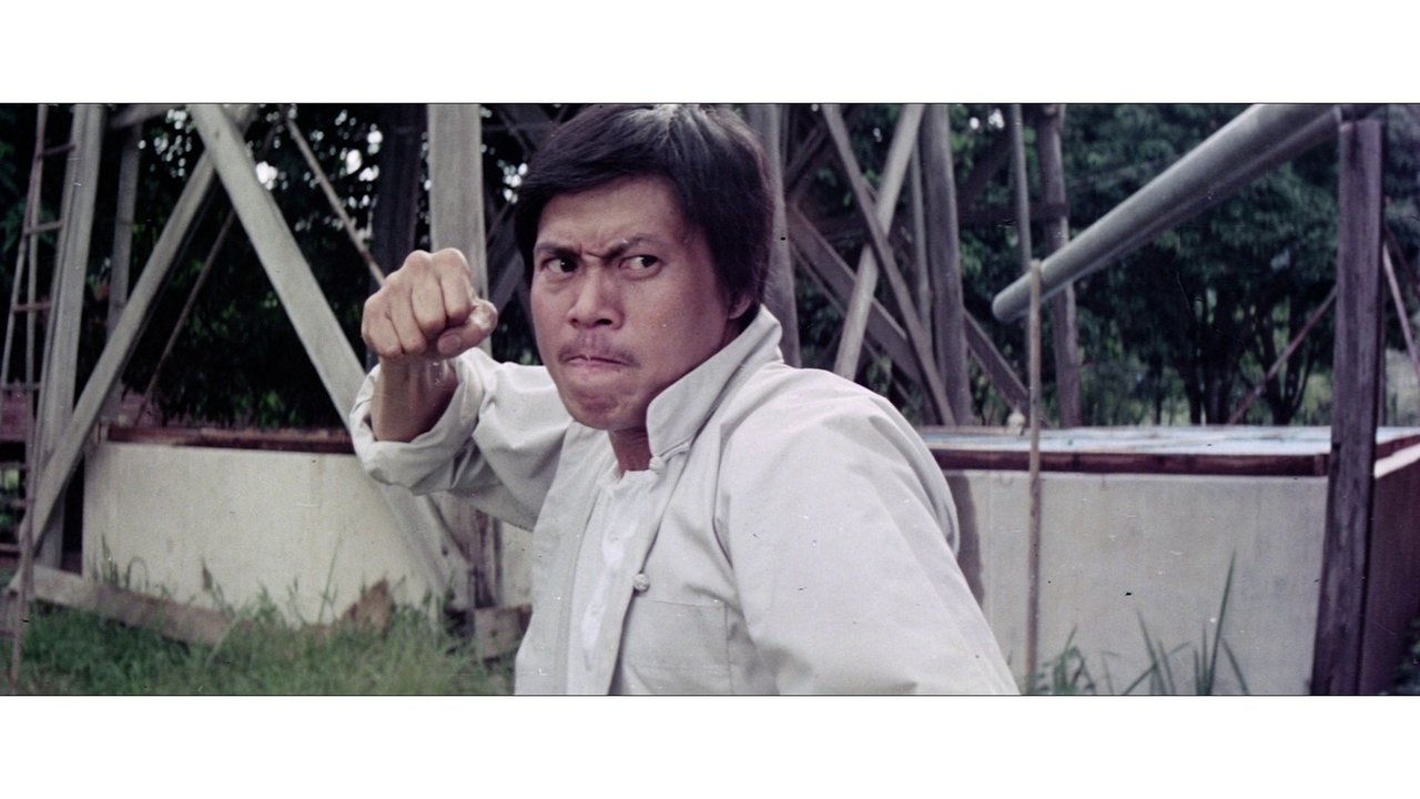 Backdrop image for movie The Big Boss Part II