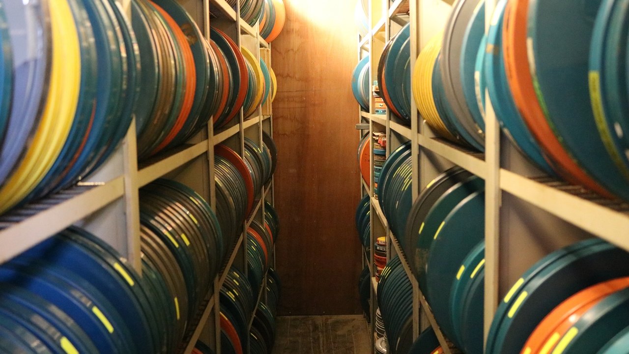 Backdrop image for movie Archive of Life