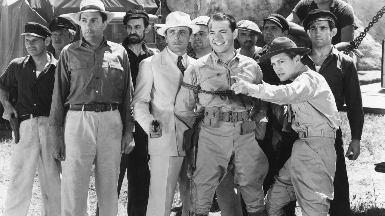 Backdrop image for movie Come On, Leathernecks!