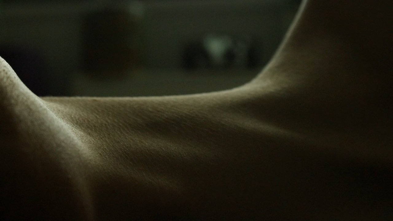Backdrop image for movie I Am Here Now