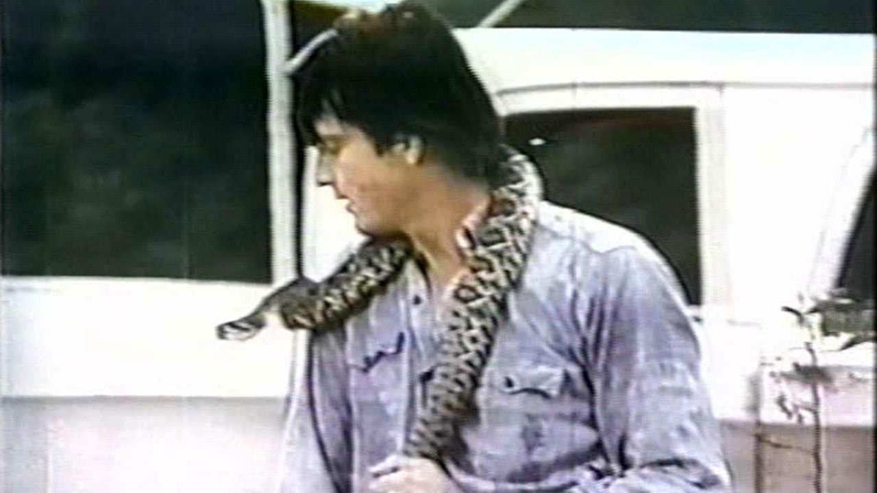 Backdrop image for movie Stanley