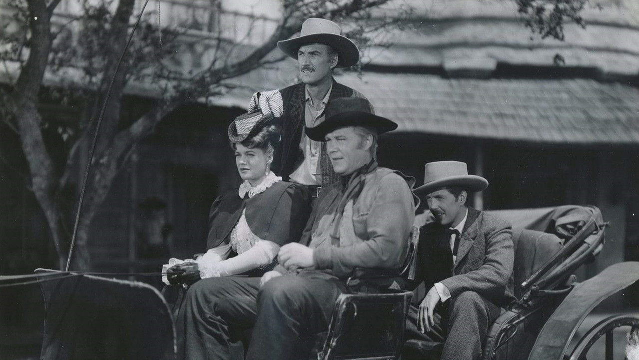 Backdrop image for movie The Younger Brothers