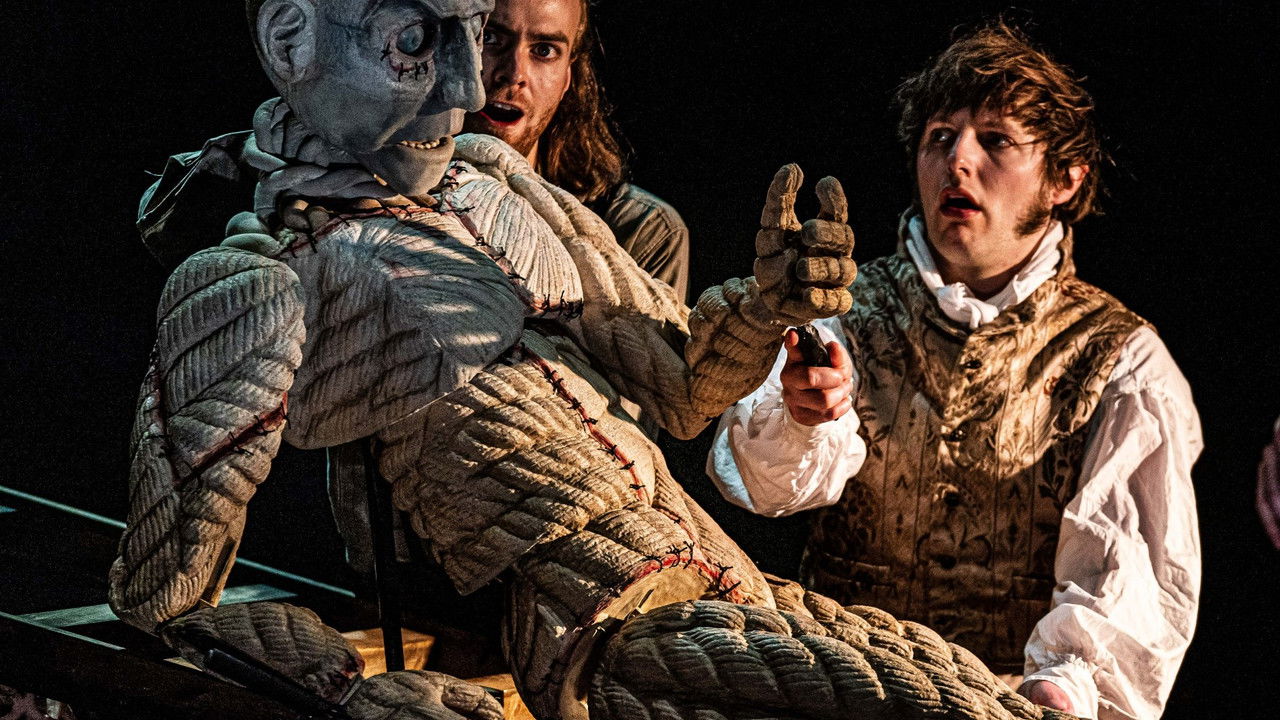 Backdrop image for movie Frankenstein