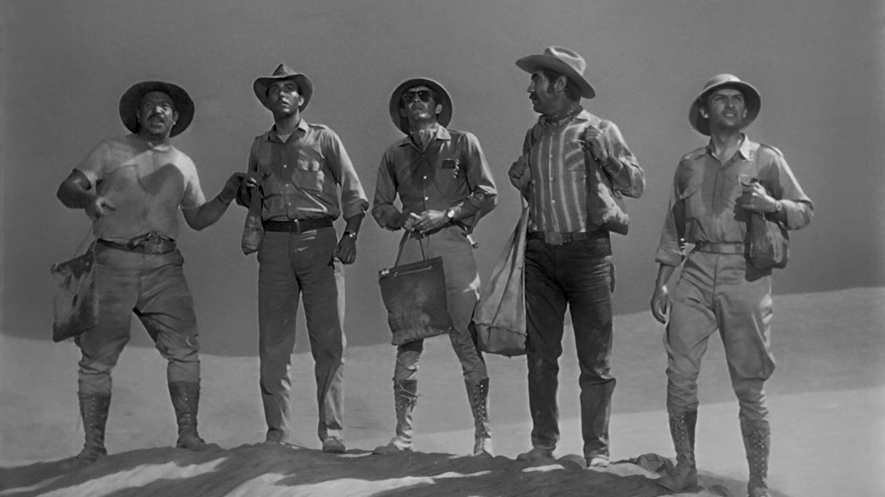 Backdrop image for movie Black Wind