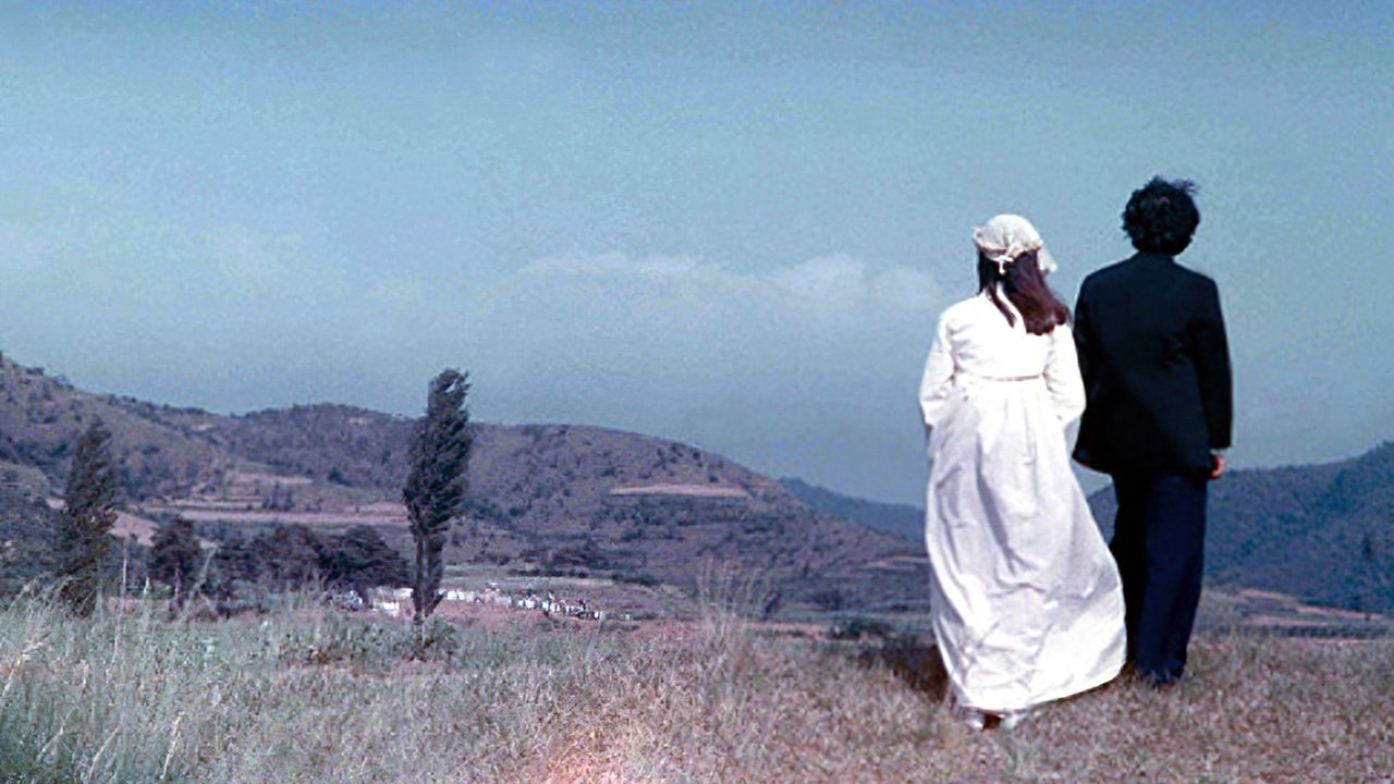 Backdrop image for movie Genealogy