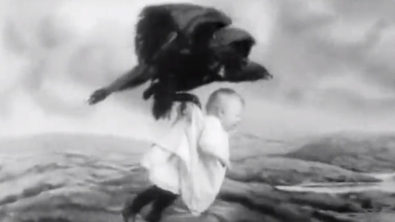 Backdrop image for movie Rescued from an Eagle's Nest