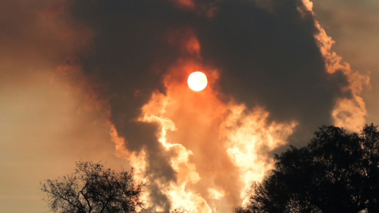 Backdrop image for movie Mezquite