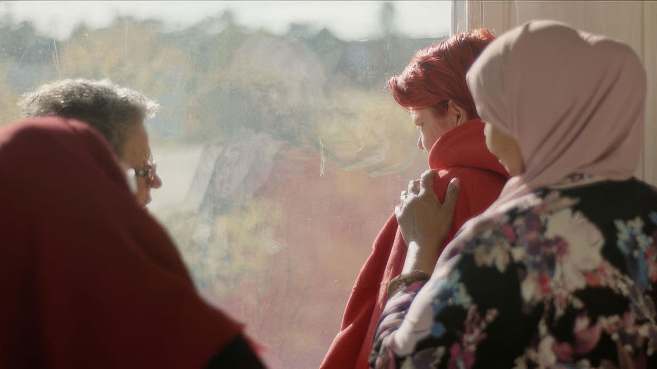 Backdrop image for movie fifteen zero three nineteenth of january two thousand sixteen