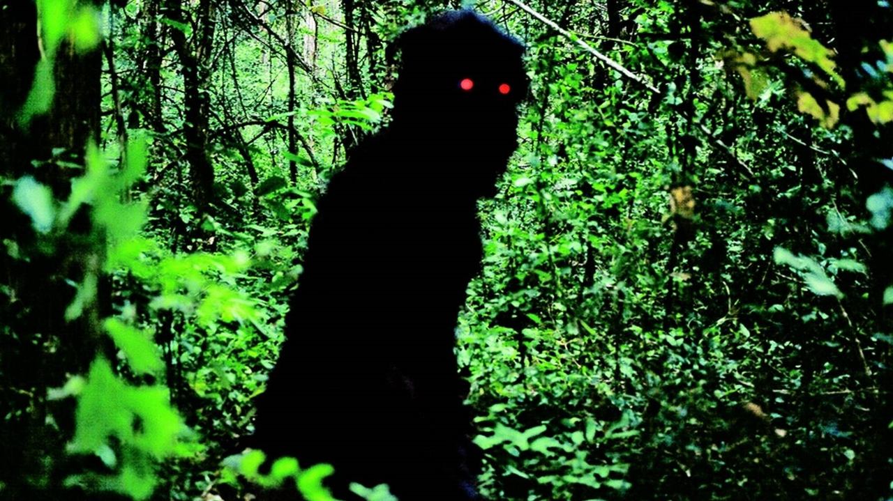 Backdrop image for movie Uncle Boonmee Who Can Recall His Past Lives
