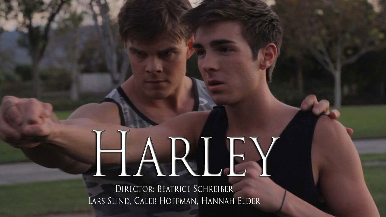 Backdrop image for movie Harley