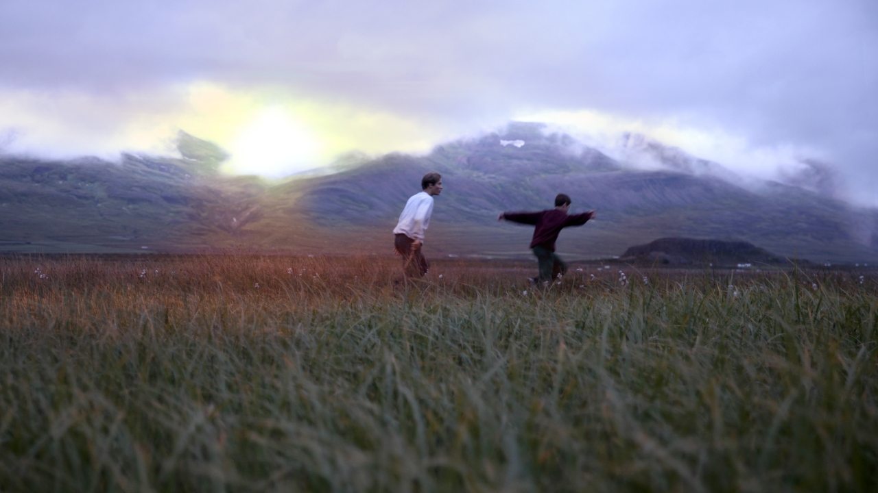 Backdrop image for movie Heartstone
