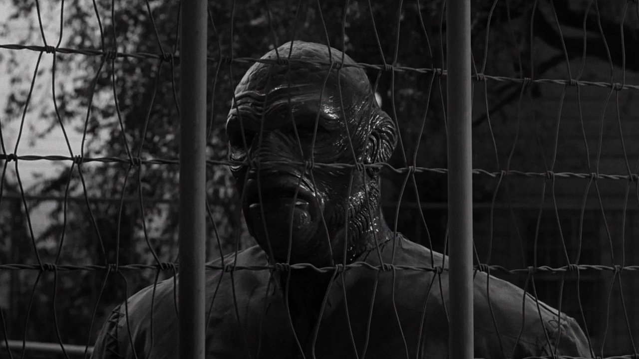 Backdrop image for movie The Creature Walks Among Us