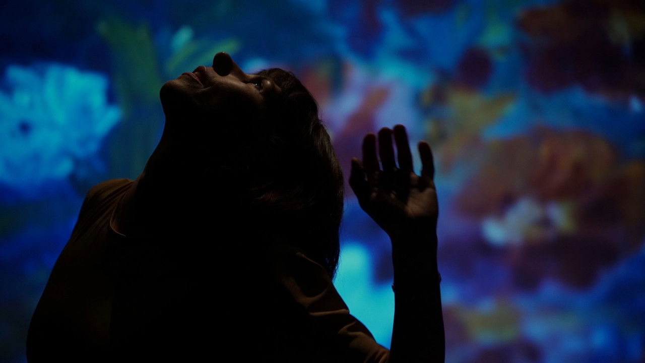 Backdrop image for movie Still Nature