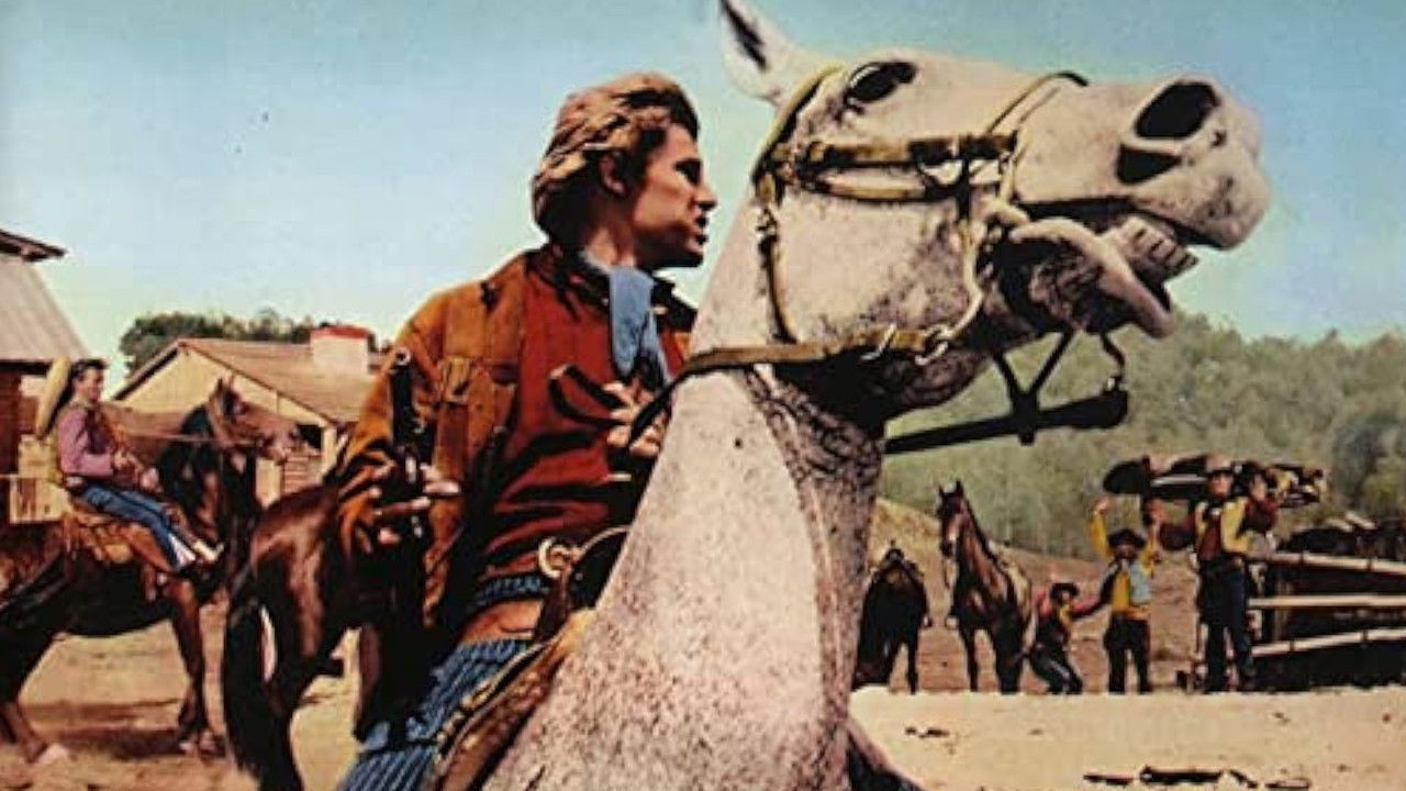 Backdrop image for movie Djurado