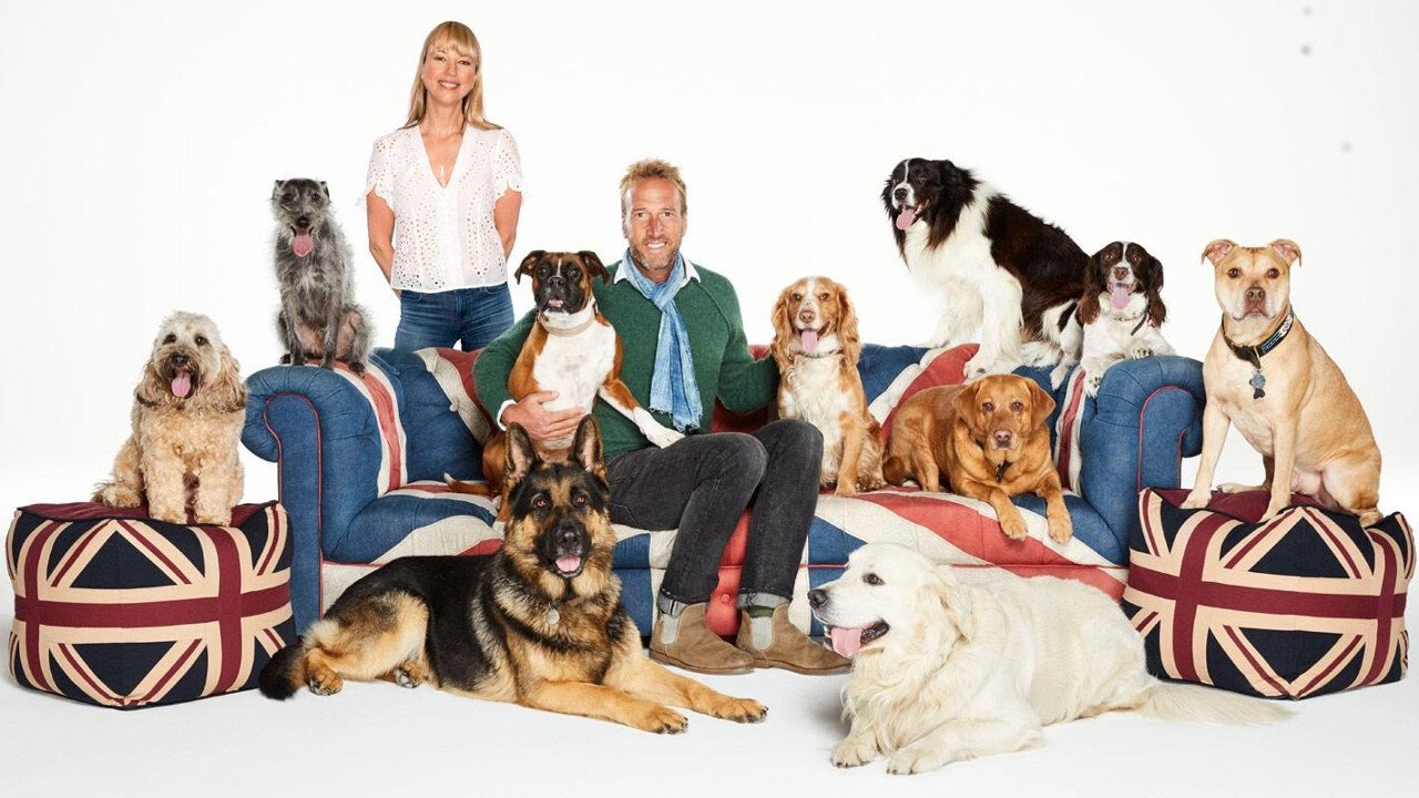 Backdrop image for movie Britain's Favourite Dogs: Top 100