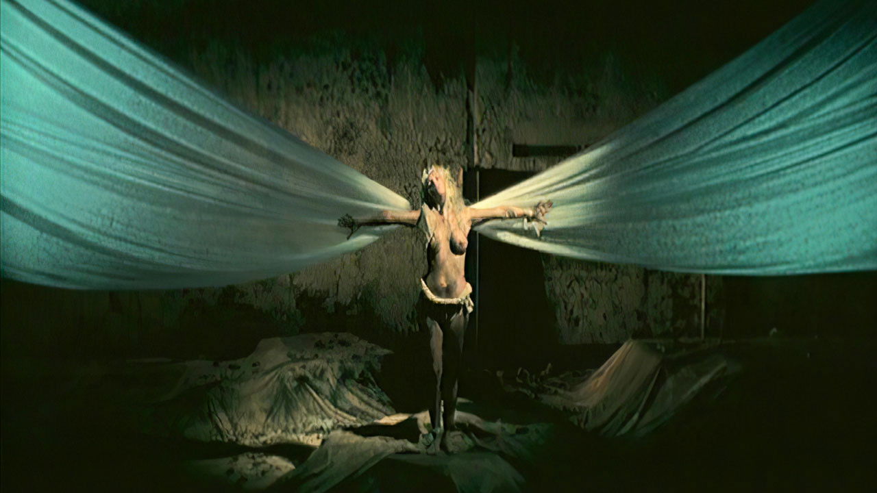 Backdrop image for movie Death ...is just the beginning vol. VI