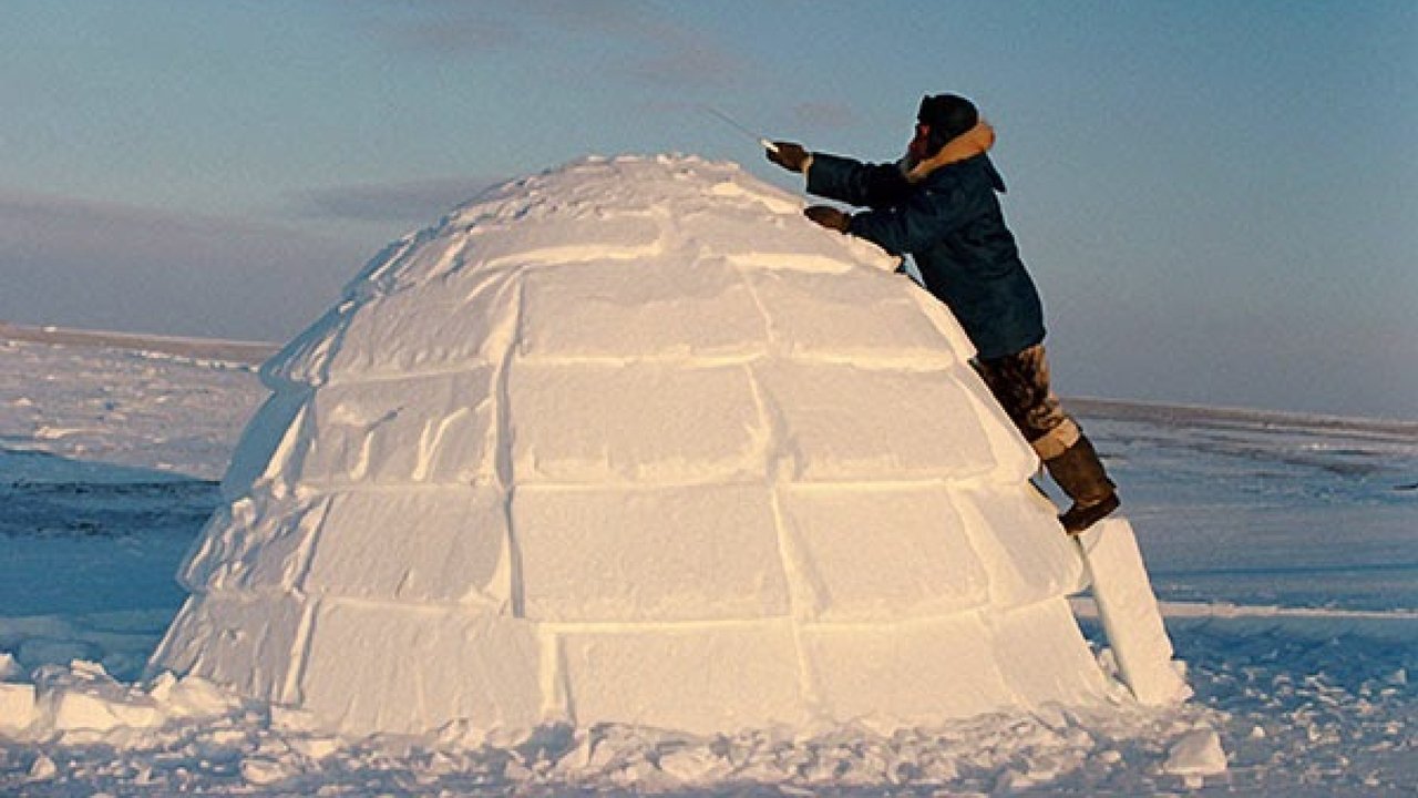 Backdrop image for movie How to Build an Igloo
