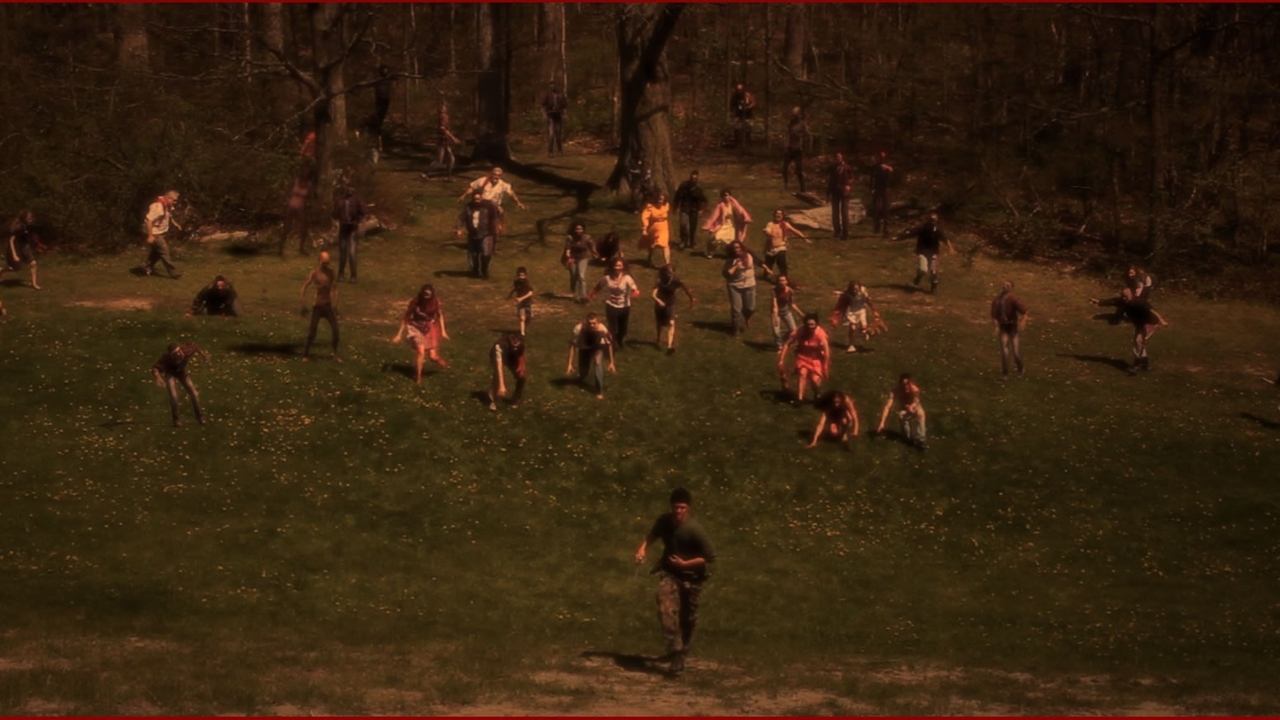Backdrop image for movie The Stray