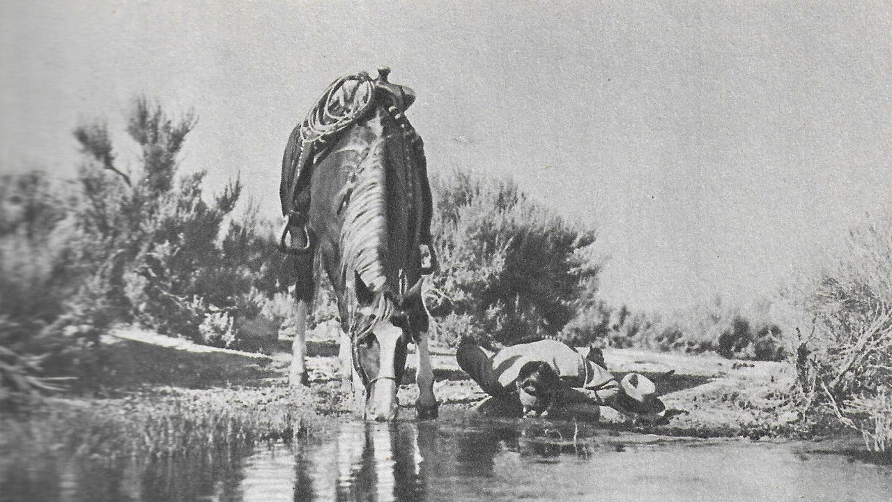 Backdrop image for movie Texans Never Cry