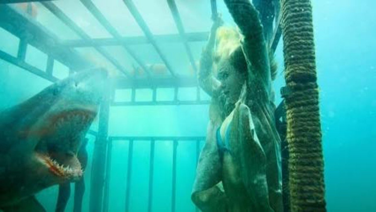 Backdrop image for movie Raging Sharks