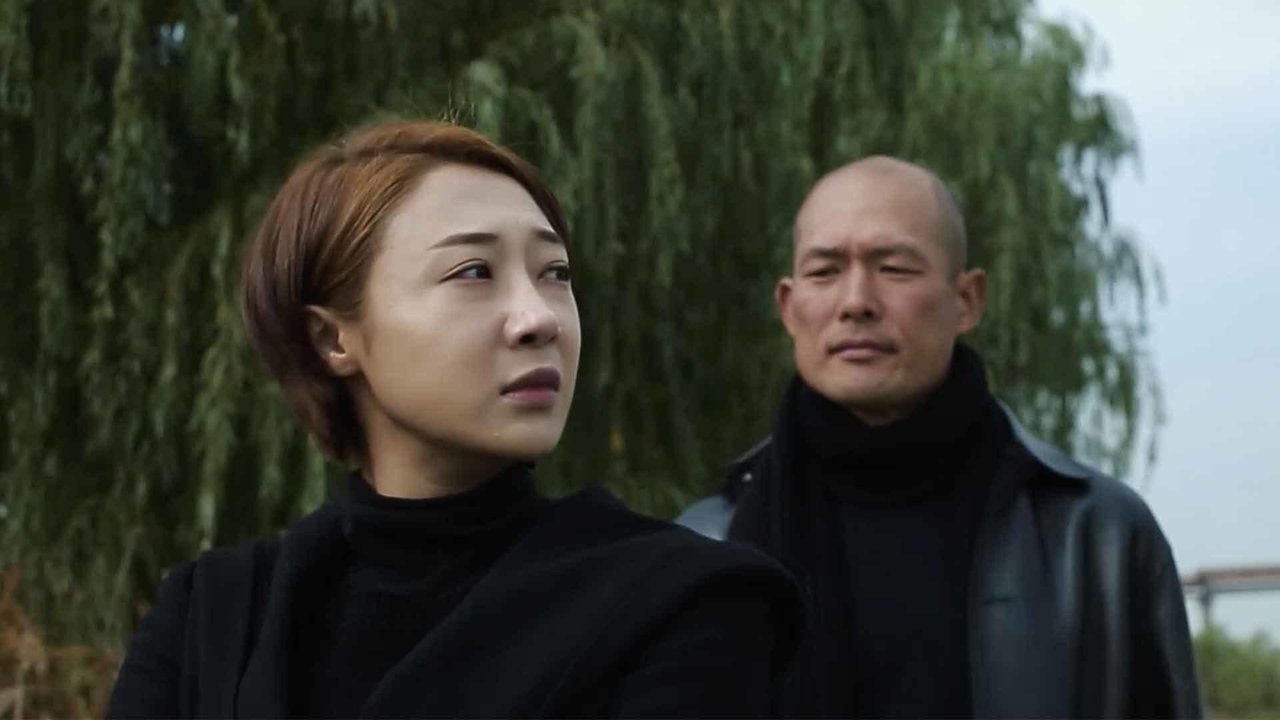 Backdrop image for movie The Bridge