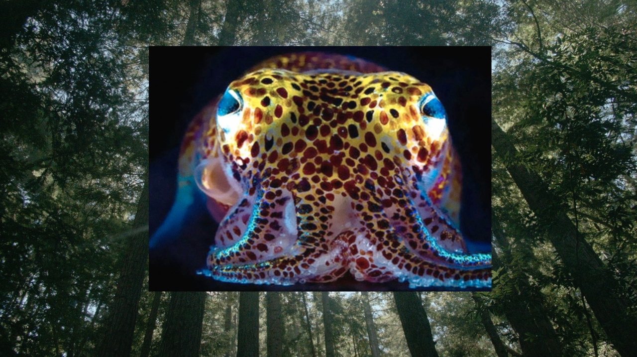 Backdrop image for movie Donna Haraway: Story Telling for Earthly Survival