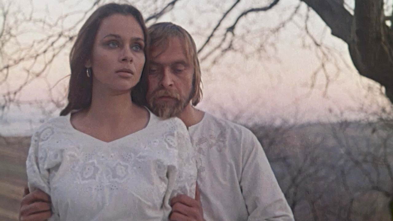 Backdrop image for movie Babylon XX