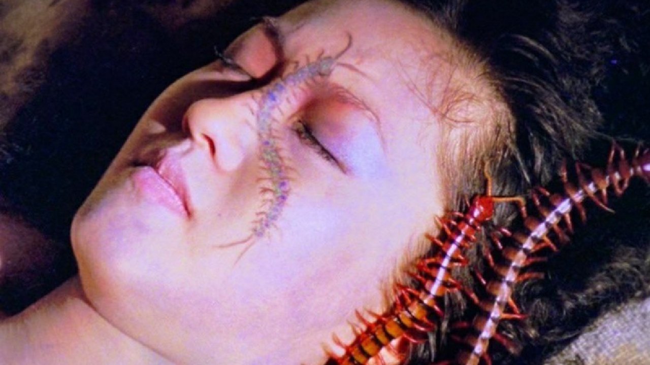 Backdrop image for movie Centipede Horror