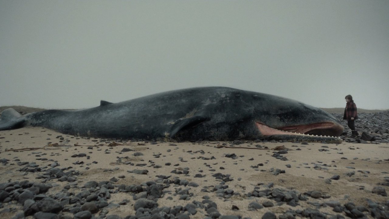 Backdrop image for movie Whale Valley