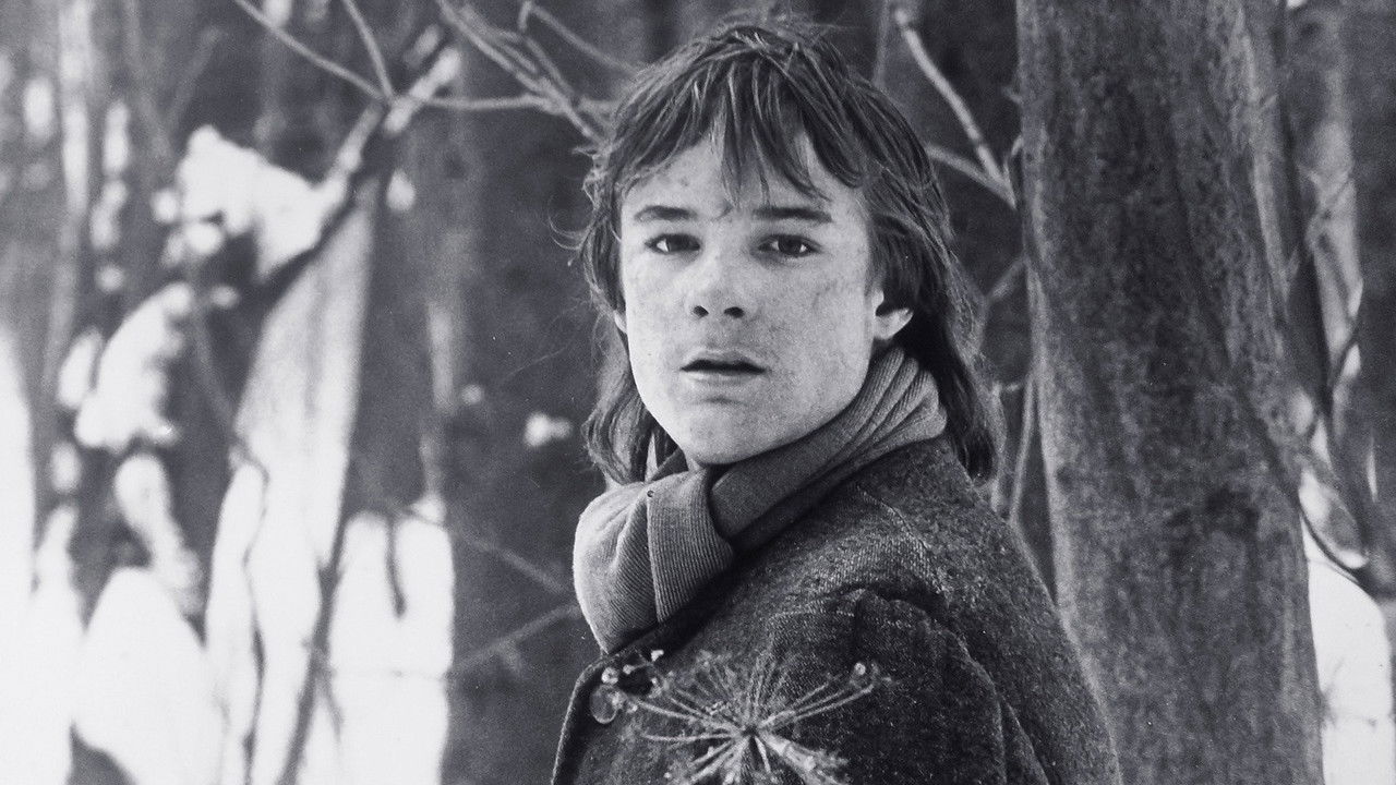 Backdrop image for movie The Nature of the Beast