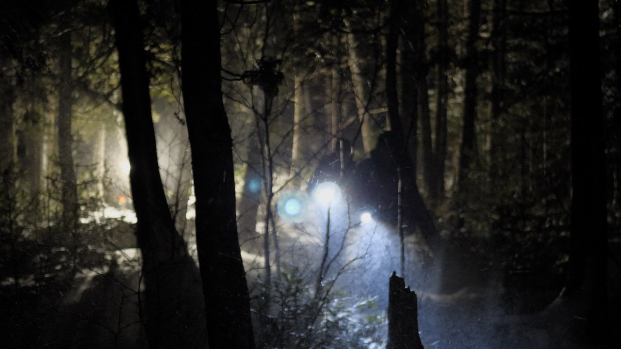 Backdrop image for movie Before Dawn