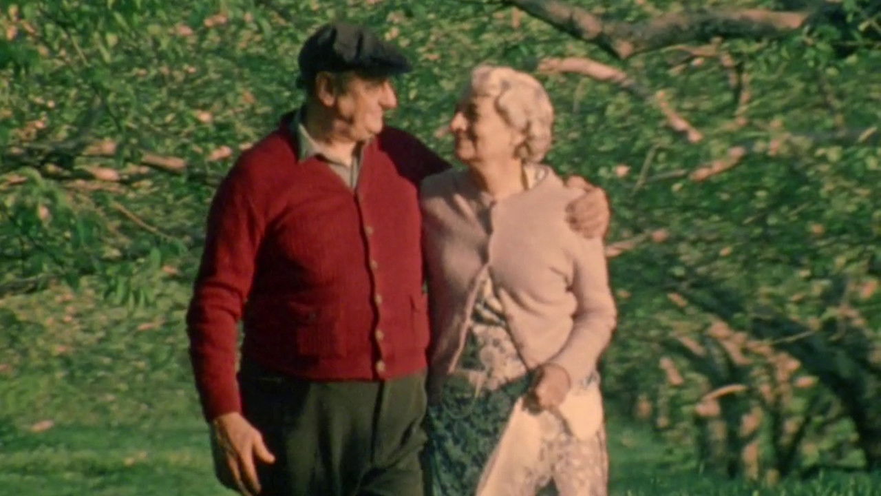 Backdrop image for movie The Last Betrothal