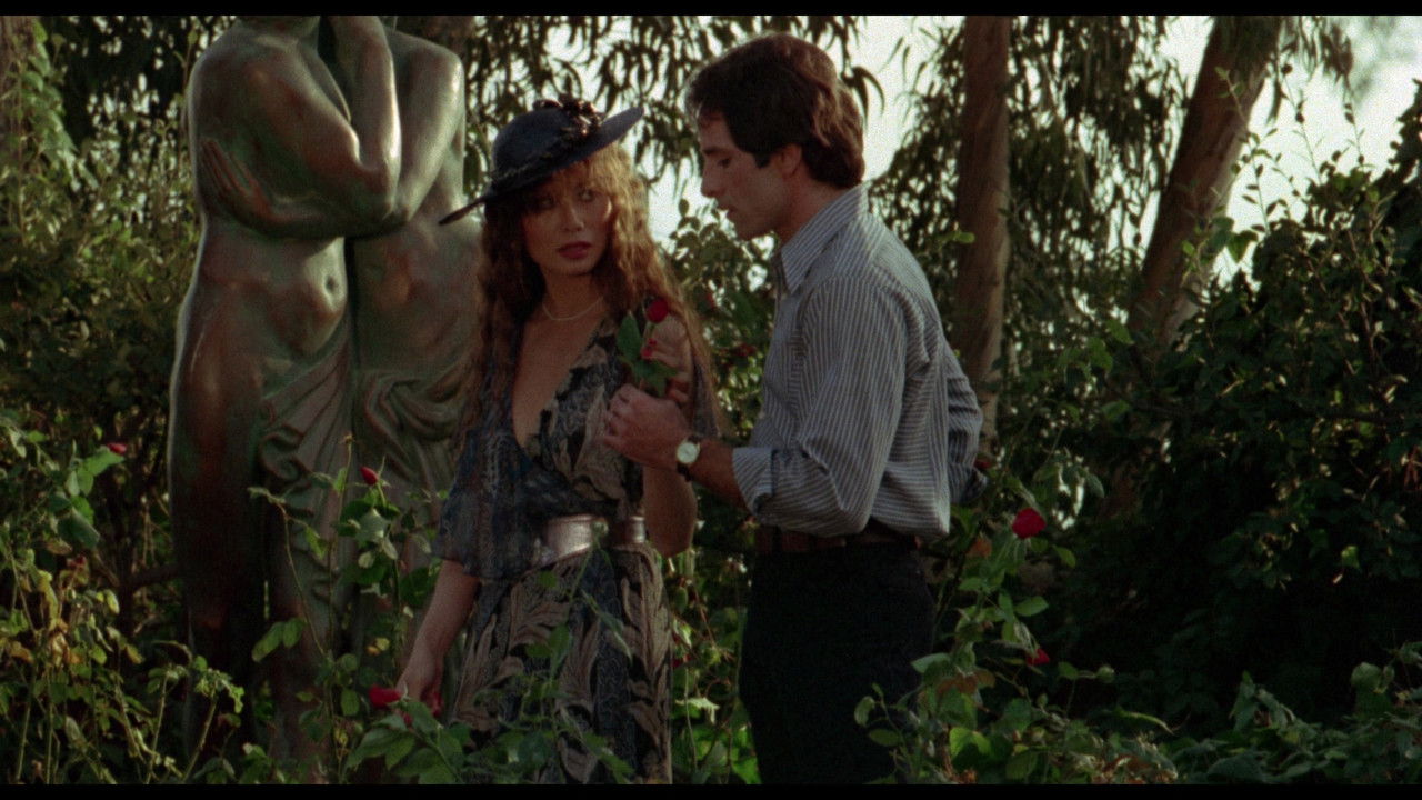 Backdrop image for movie The Black Room