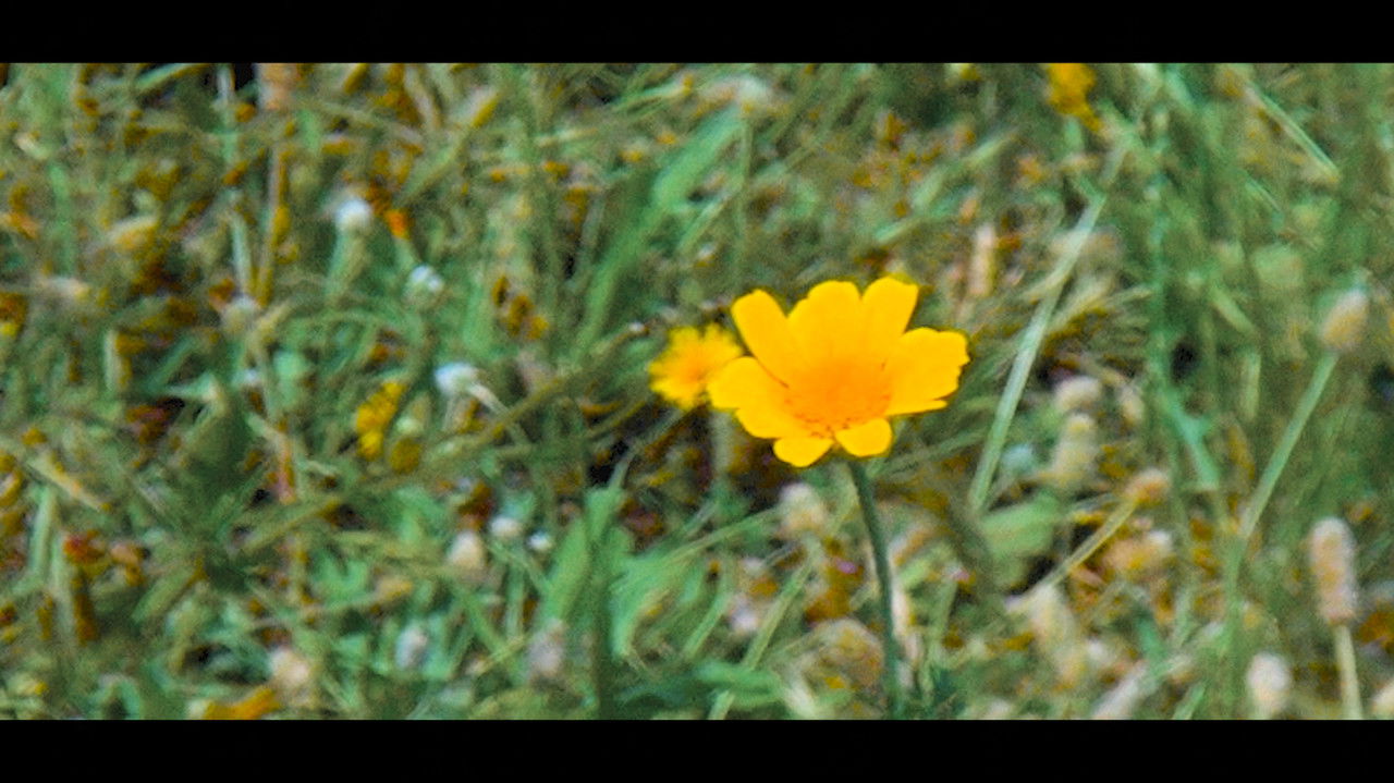 Backdrop image for movie Kinetic: The Art of Oneself