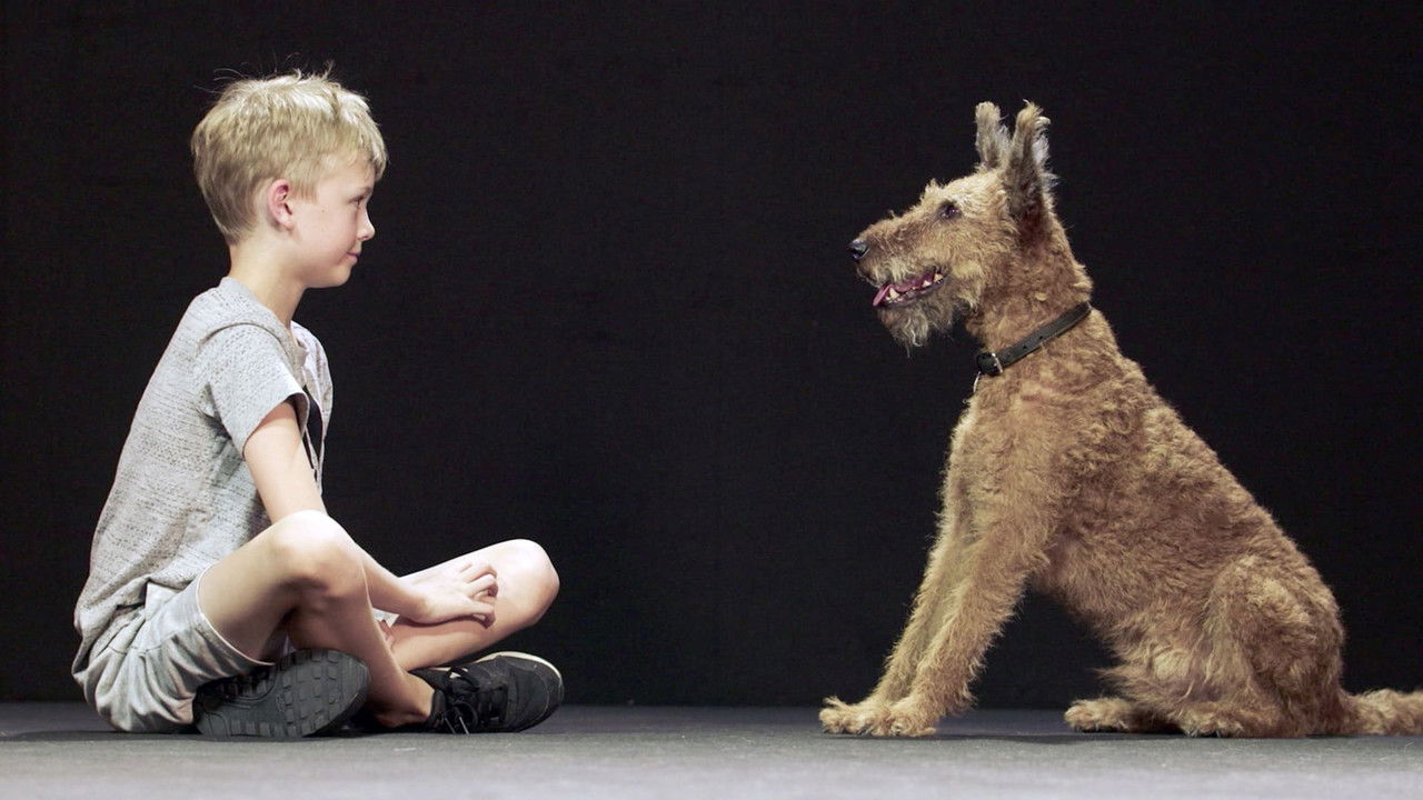 Backdrop image for movie Dogs and Us: The Secret of a Friendship