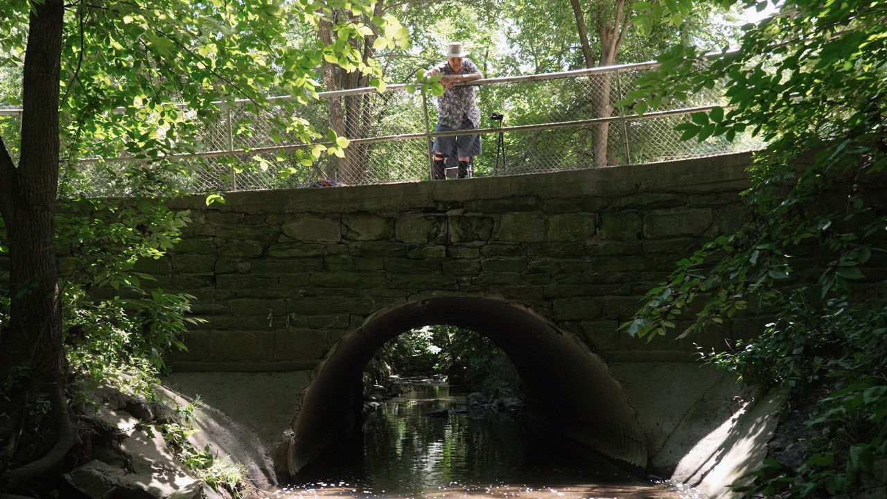 Backdrop image for movie Sherwood Park